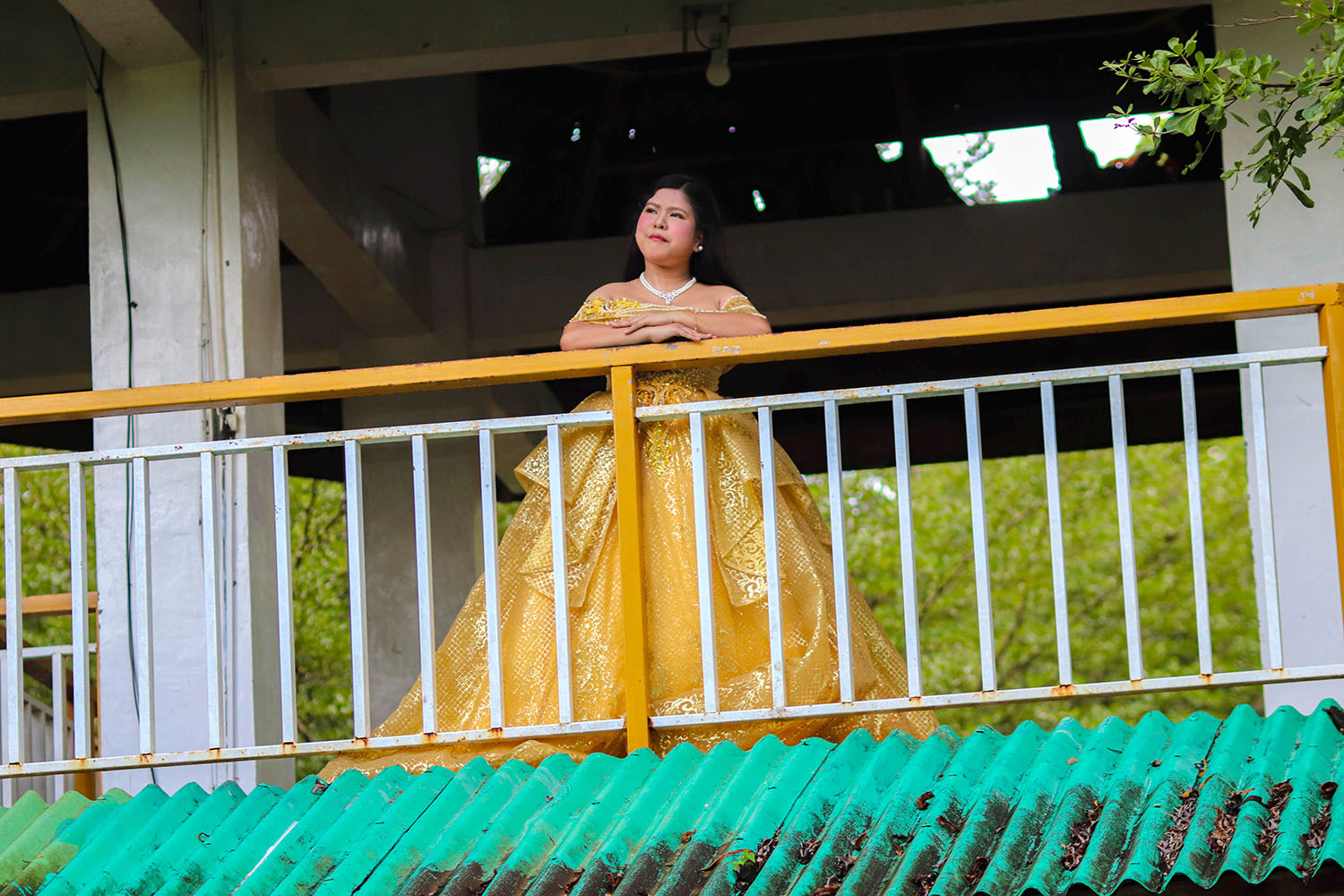 Princess pre debut wide celebration image